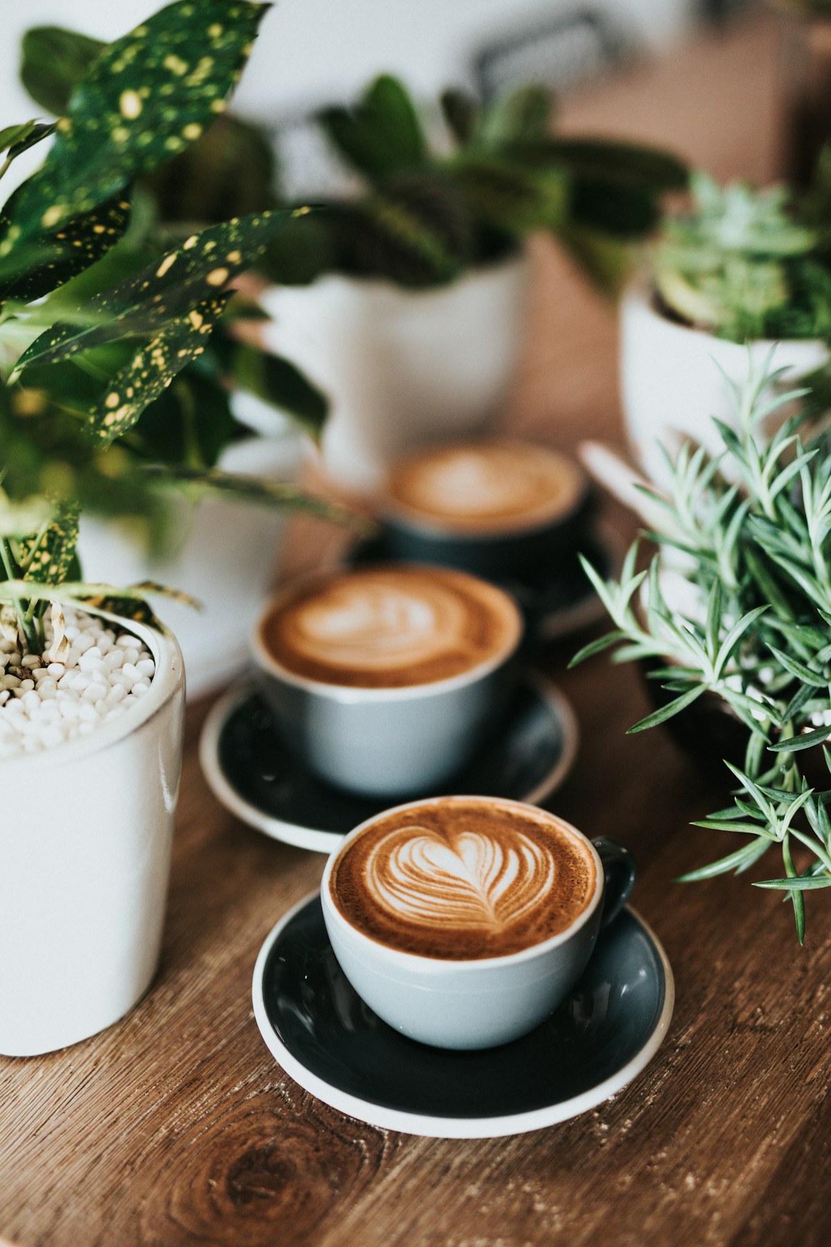 Three flat white coffees on a wooden café table surrounded by plants
